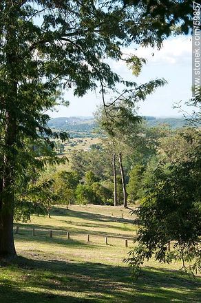 Park - Lavalleja - URUGUAY. Foto No. 59857