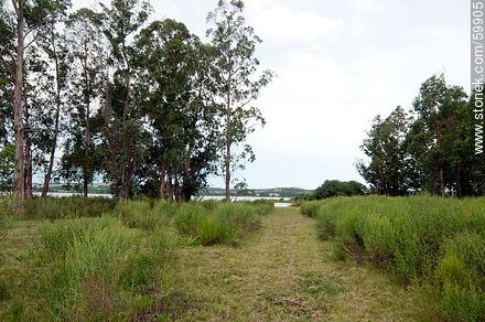Land for maritime ranch  - Punta del Este and its near resorts - URUGUAY. Foto No. 59905
