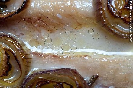 Oil drops between onions -  - MORE IMAGES. Photo #60034