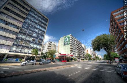 Bulevar España - Departamento de Montevideo - URUGUAY. Foto No. 60092
