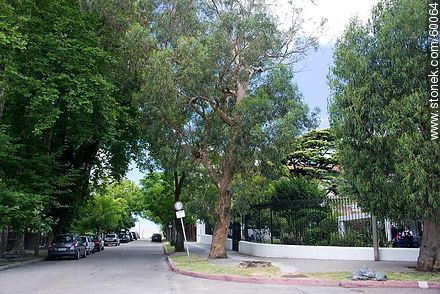 Corner of Marco Bruto and Antonio Costa streets - Department of Montevideo - URUGUAY. Foto No. 60064