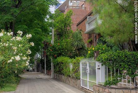 Calle Echevarriarza y Marco Bruto - Departamento de Montevideo - URUGUAY. Foto No. 60070