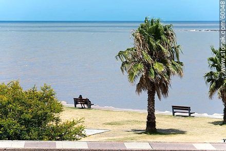 View to Rio de la Plata - Department of Montevideo - URUGUAY. Foto No. 60048