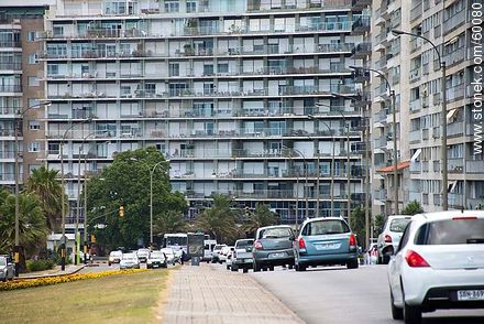 Heavy traffic on the Rambla of Pocitos - Department of Montevideo - URUGUAY. Photo #60080
