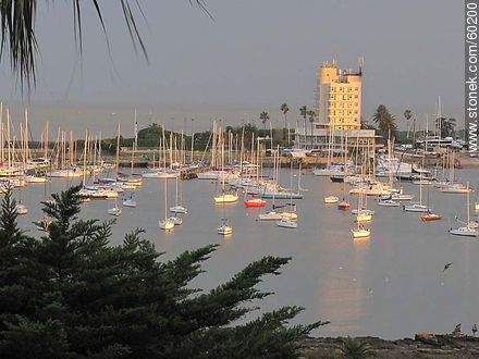 Puerto del Buceo sunset - Department of Montevideo - URUGUAY. Photo #60200