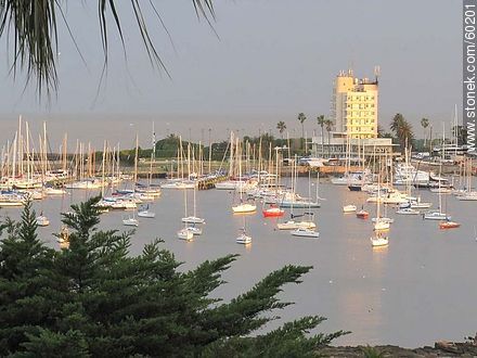 Puerto del Buceo sunset - Department of Montevideo - URUGUAY. Photo #60201