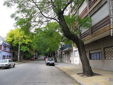 La calle Mario Cassinoni (ex Duvimioso Terra) y Charrúa - Departamento de Montevideo - URUGUAY. Foto No. 60222