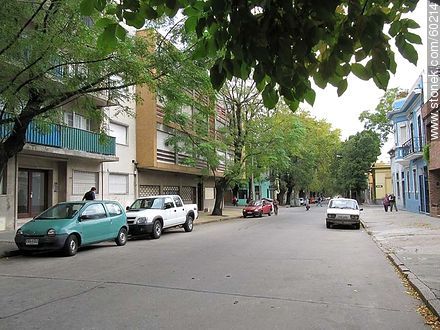 La calle Mario Cassinoni  - Departamento de Montevideo - URUGUAY. Foto No. 60214