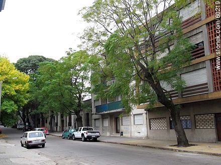 La calle Mario Cassinoni (ex Duvimioso Terra) y Charrúa - Departamento de Montevideo - URUGUAY. Foto No. 60219