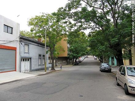 La calle Charrúa y Cassinoni (ex Duvimioso Terra) - Departamento de Montevideo - URUGUAY. Foto No. 60224
