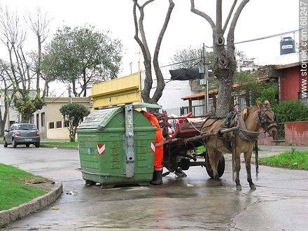Municipal uniformed scavenger with horse carriage -  - URUGUAY. Foto No. 60247