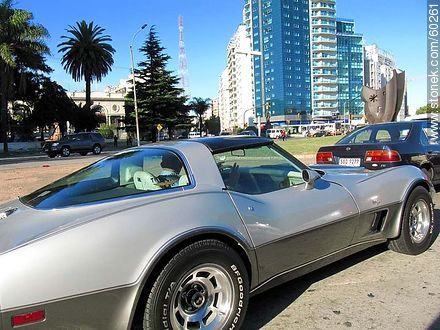 Corvette in Montevideo - Department of Montevideo - URUGUAY. Foto No. 60261