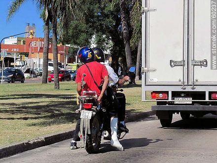 Plastering motorcyclist - Department of Montevideo - URUGUAY. Photo #60237