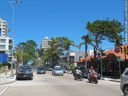 Calle 20 - Punta del Este and its near resorts - URUGUAY. Foto No. 60305