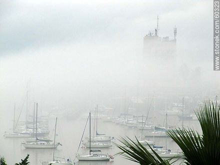 Dense fog in Buceo - Department of Montevideo - URUGUAY. Foto No. 60323