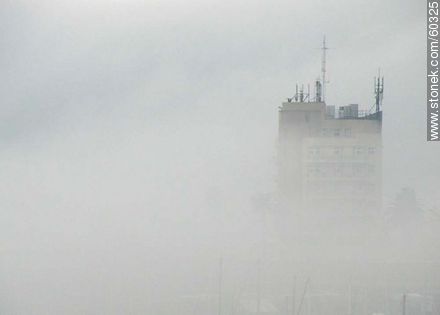 Niebla cerrada en el Buceo - Departamento de Montevideo - URUGUAY. Foto No. 60325