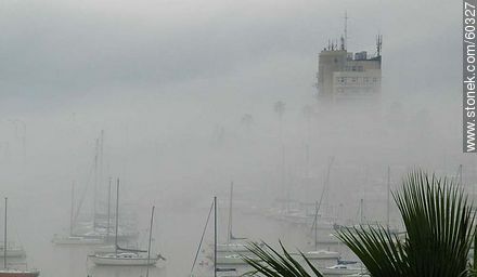 Niebla cerrada en el Buceo - Departamento de Montevideo - URUGUAY. Foto No. 60327