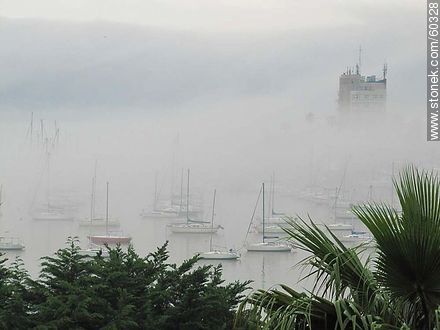 Niebla cerrada en el Buceo - Departamento de Montevideo - URUGUAY. Foto No. 60328