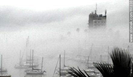Niebla cerrada en el Buceo - Departamento de Montevideo - URUGUAY. Foto No. 60330