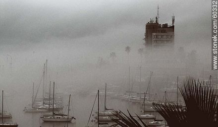 Niebla cerrada en el Buceo - Departamento de Montevideo - URUGUAY. Foto No. 60332