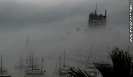 Niebla cerrada en el Buceo - Departamento de Montevideo - URUGUAY. Foto No. 60322