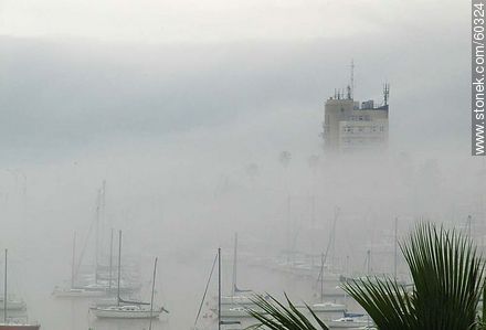 Niebla cerrada en el Buceo - Departamento de Montevideo - URUGUAY. Foto No. 60324