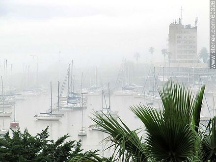 Niebla cerrada en el Buceo - Departamento de Montevideo - URUGUAY. Foto No. 60326
