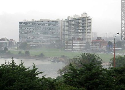 Niebla cerrada en el Buceo - Departamento de Montevideo - URUGUAY. Foto No. 60331