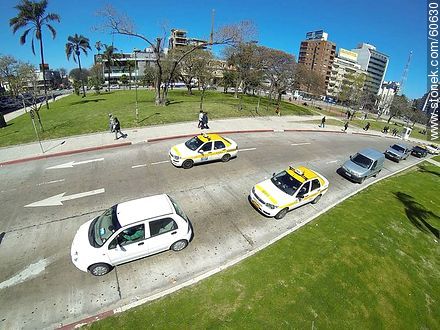 Taxis en la Avenida 8 de Octubre - Departamento de Montevideo - URUGUAY. Foto No. 60630