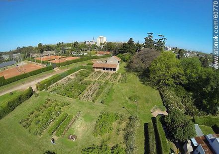 Vista aérea del parque del Prado - Departamento de Montevideo - URUGUAY. Foto No. 60770