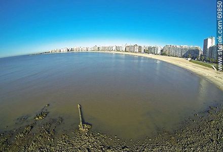 Las rocas de la playa Pocitos - Departamento de Montevideo - URUGUAY. Foto No. 60850