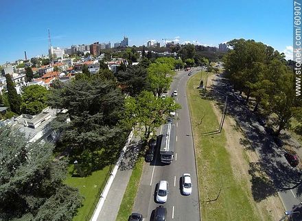 Aerial photo of automobiles circulating Ricaldoni Avenue - Department of Montevideo - URUGUAY. Foto No. 60907