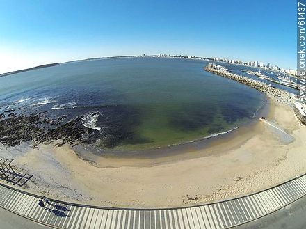 Aerial photo of the little beach of Puerto - Punta del Este and its near resorts - URUGUAY. Photo #61437