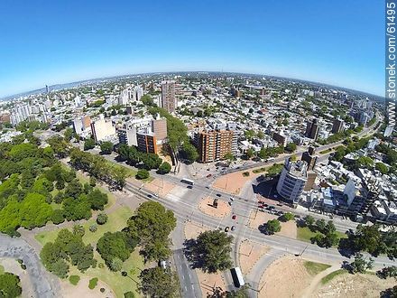 Aerial photo of the avenues Italy and Damaso Larrañaga (ex Centenario) and north Ricaldoni - Department of Montevideo - URUGUAY. Photo #61495