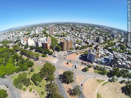 Aerial photo of the avenues Italy and Damaso Larrañaga (ex Centenario) and north Ricaldoni - Department of Montevideo - URUGUAY. Foto No. 61475