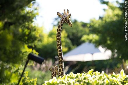 Giraffe in the hotel garden - Punta del Este and its near resorts - URUGUAY. Foto No. 61513