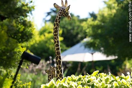 Giraffe in the hotel garden - Punta del Este and its near resorts - URUGUAY. Foto No. 61514