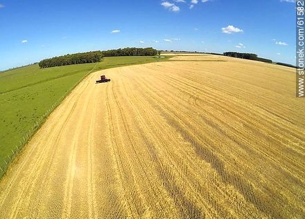 Aerial photo of a combine in a wheat field - Durazno - URUGUAY. Photo #61582