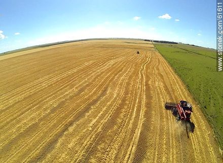 Aerial photo of a combine in a wheat field - Durazno - URUGUAY. Photo #61611