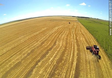 Aerial photo of a combine in a wheat field - Durazno - URUGUAY. Photo #61617