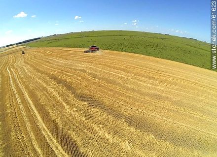 Aerial view of harvested wheat field - Durazno - URUGUAY. Photo #61623