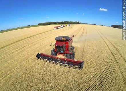 Aerial photo of a combine harvesterin a wheat field - Durazno - URUGUAY. Photo #61595