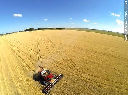 Aerial photo of a combine harvester in a wheat field - Durazno - URUGUAY. Photo #61621