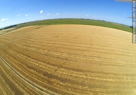 Aerial view of harvested wheat field - Durazno - URUGUAY. Photo #61628