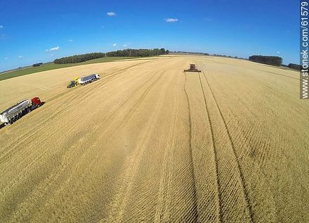 Aerial photo of a combine in a wheat field - Durazno - URUGUAY. Photo #61579