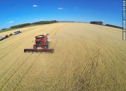 Aerial photo of a combine in a wheat field - Durazno - URUGUAY. Photo #61608