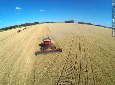 Aerial photo of a combine in a wheat field - Durazno - URUGUAY. Photo #61596
