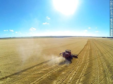 Aerial photo of a combine in a wheat field - Durazno - URUGUAY. Photo #61583