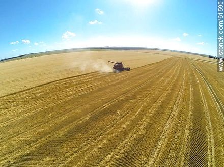 Aerial photo of a combine in a wheat field - Durazno - URUGUAY. Photo #61590
