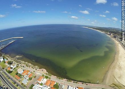 Aerial photo of the beach - Department of Maldonado - URUGUAY. Photo #61686